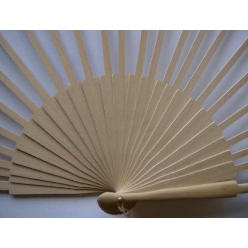 Varillas abanico A9.5X21.3L 22